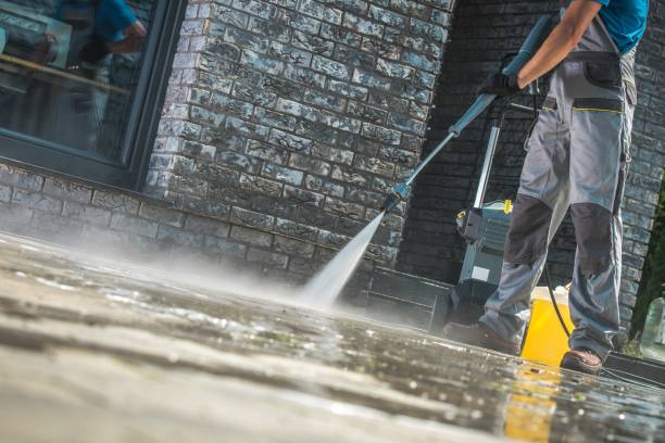 Best Solar Panel Cleaning  in Windsor, IL