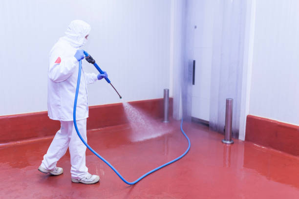 Best Driveway Pressure Washing  in Windsor, IL