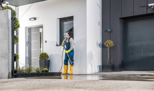 Best Roof Washing  in Windsor, IL