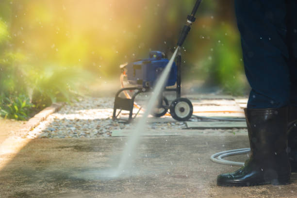 Best Sidewalk and Walkway Cleaning  in Windsor, IL
