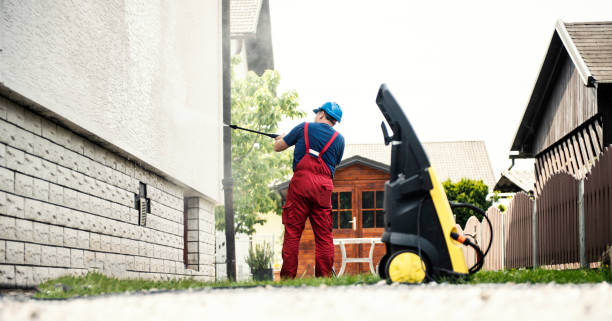 Best Fence Cleaning  in Windsor, IL